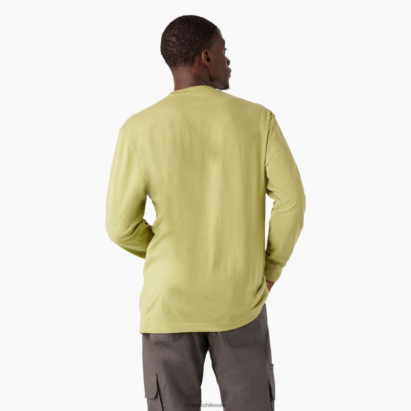 helecho brezo (f2h) hombres playera de manga larga con logo pesado Dickies vestir X4H0F869
