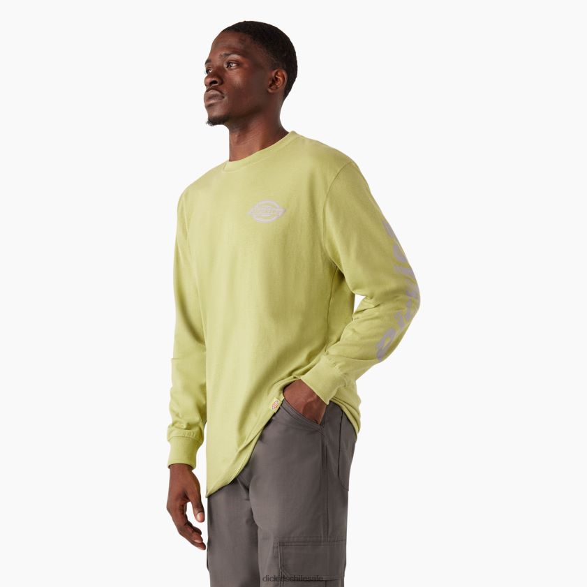 helecho brezo (f2h) hombres playera de manga larga con logo pesado Dickies vestir X4H0F869