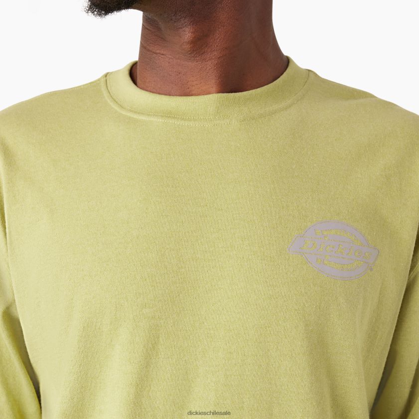 helecho brezo (f2h) hombres playera de manga larga con logo pesado Dickies vestir X4H0F869