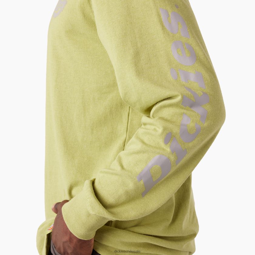 helecho brezo (f2h) hombres playera de manga larga con logo pesado Dickies vestir X4H0F869