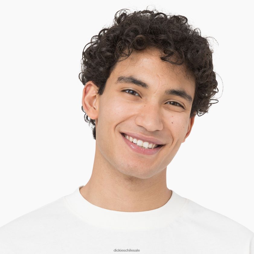 nube (cl9) hombres camiseta de manga larga Dickies vestir X4H0F805