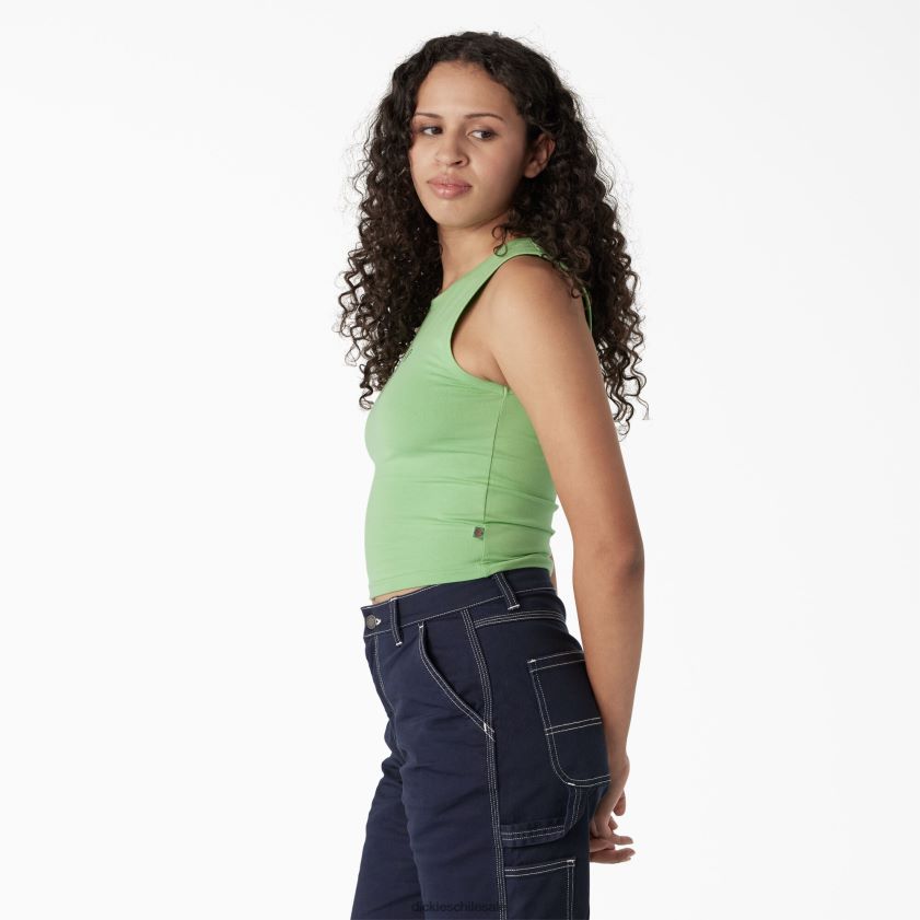 menta de manzana (ar2) mujer camiseta sin mangas corta con gráfico Dickies vestir X4H0F2111