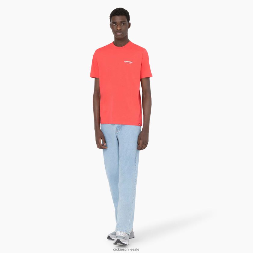 agridulce (bw2) hombres camiseta de manga corta Leesburg Dickies vestir X4H0F877