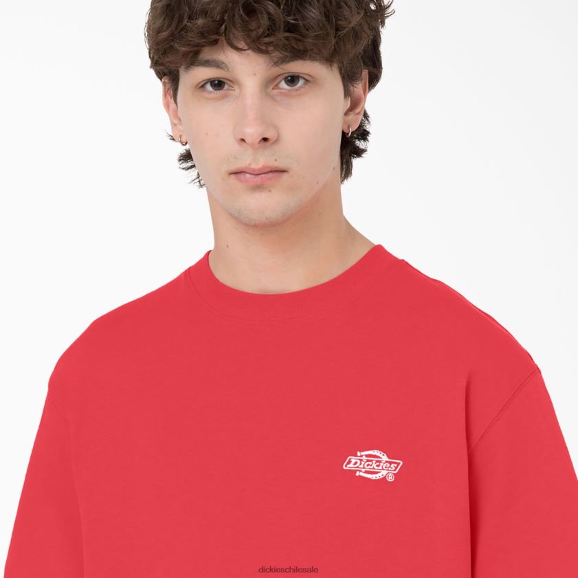 agridulce (bw2) hombres camiseta de manga corta Summerdale Dickies vestir X4H0F580