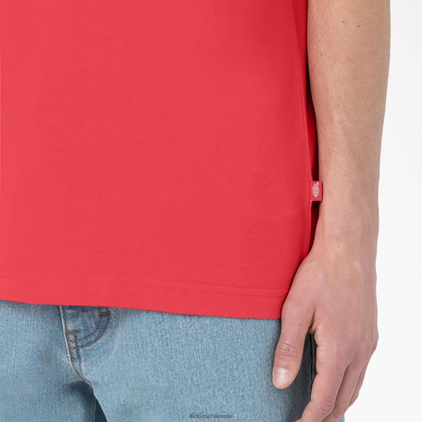 agridulce (bw2) hombres camiseta de manga corta Summerdale Dickies vestir X4H0F580