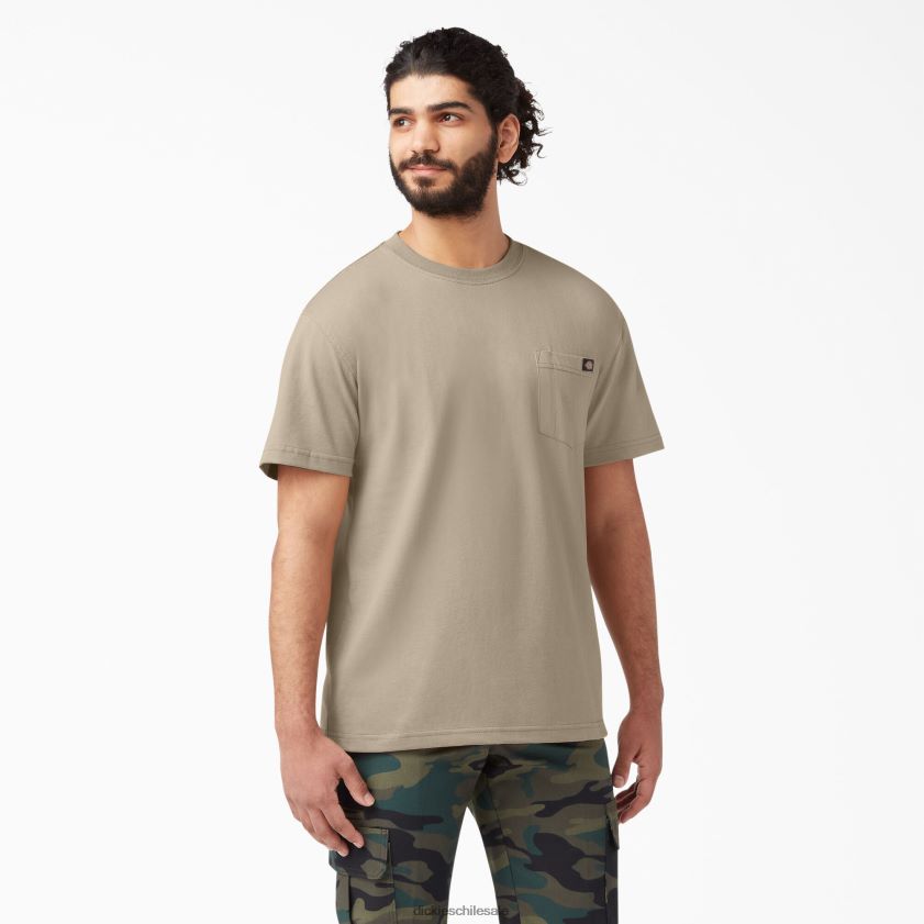 arena del desierto (ds) hombres camiseta de manga corta de peso pesado Dickies vestir X4H0F514