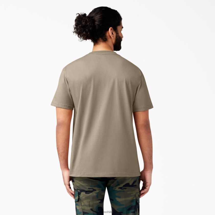 arena del desierto (ds) hombres camiseta de manga corta de peso pesado Dickies vestir X4H0F514