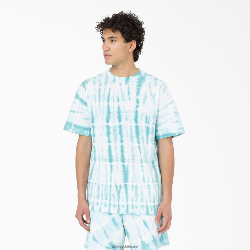 azul cielo (su9) hombres camiseta de manga corta Westfir Dickies vestir X4H0F590