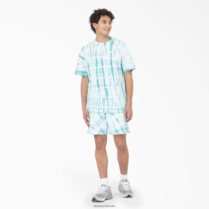 azul cielo (su9) hombres camiseta de manga corta Westfir Dickies vestir X4H0F590