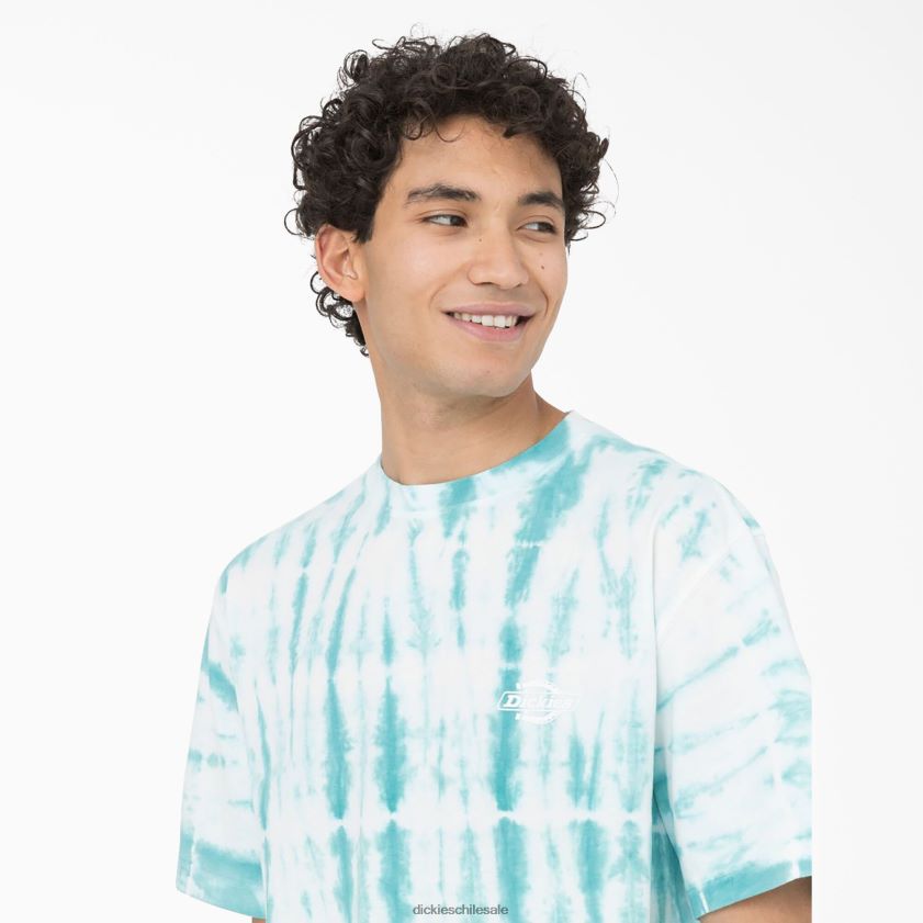 azul cielo (su9) hombres camiseta de manga corta Westfir Dickies vestir X4H0F590