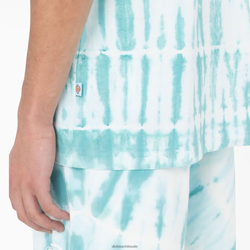 azul cielo (su9) hombres camiseta de manga corta Westfir Dickies vestir X4H0F590