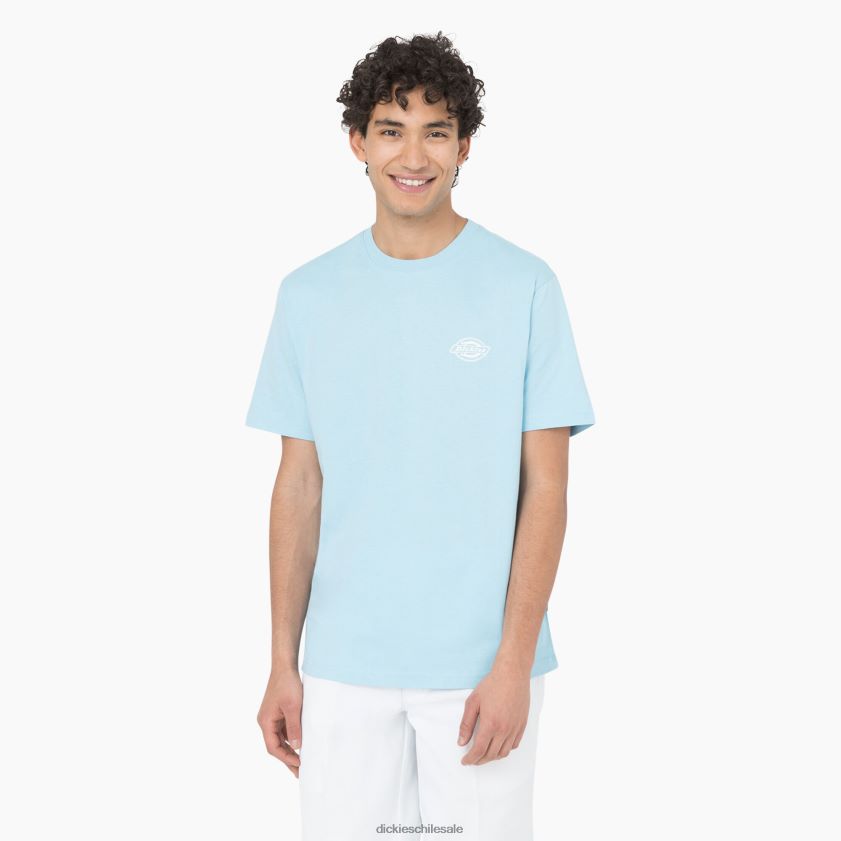azul cielo (su9) hombres camiseta gráfica con logo en la espalda Dickies vestir X4H0F751