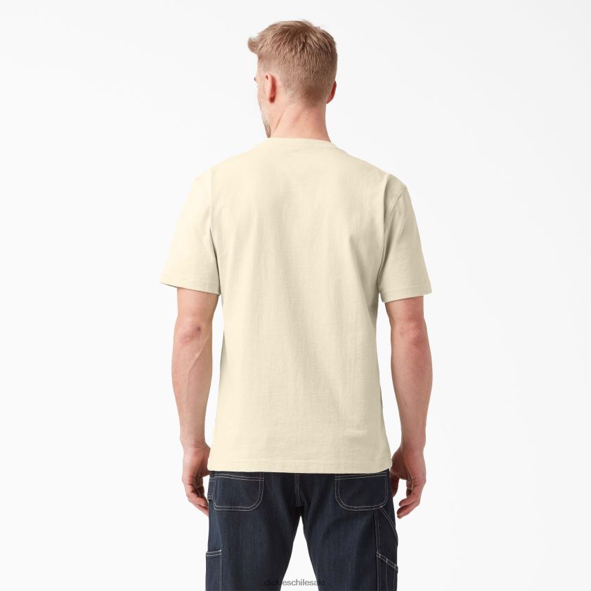 beige natural (nt) hombres camiseta de manga corta de peso pesado Dickies vestir X4H0F521
