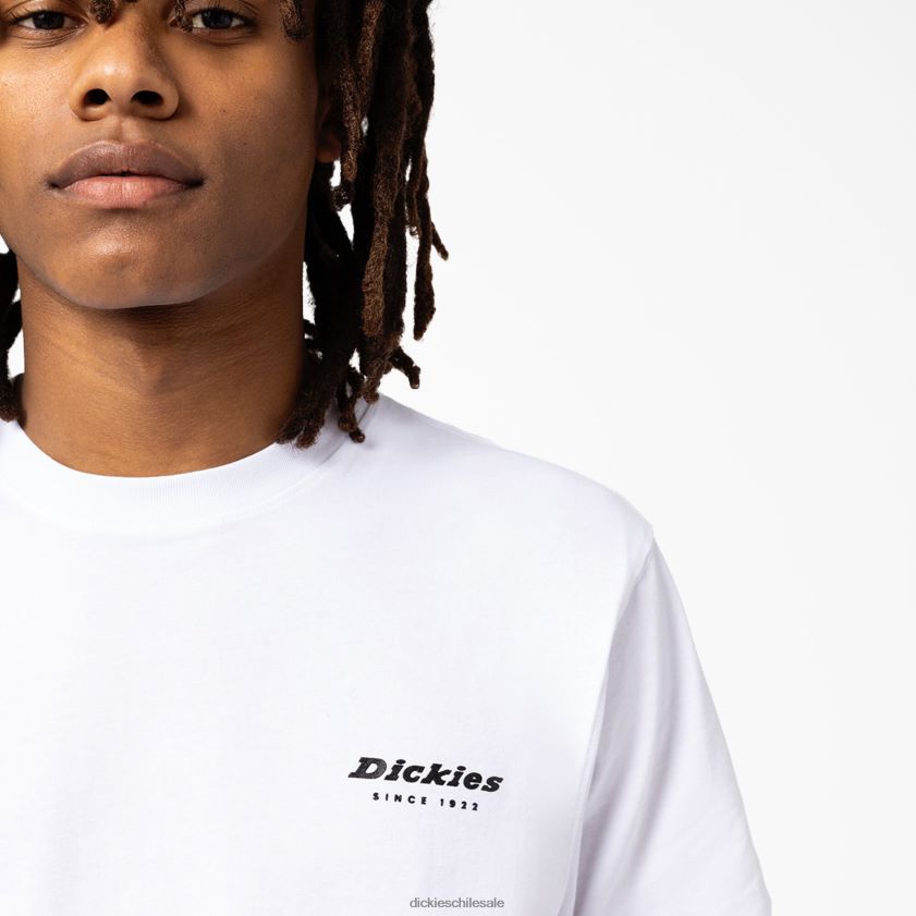 blanco (wh) hombres caja de camden camiseta gráfica Dickies vestir X4H0F888