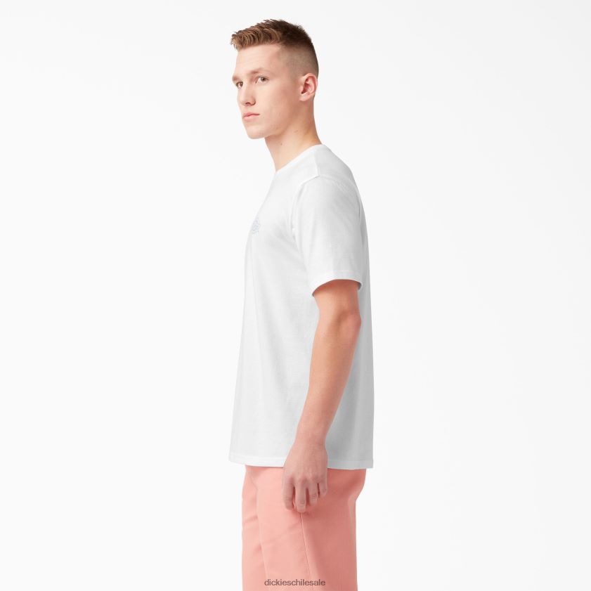 blanco (wh) hombres camiseta gráfica con logo en la espalda Dickies vestir X4H0F752