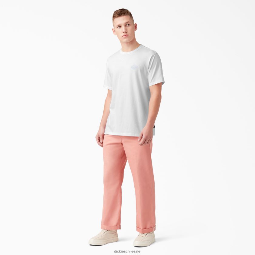 blanco (wh) hombres camiseta gráfica con logo en la espalda Dickies vestir X4H0F752