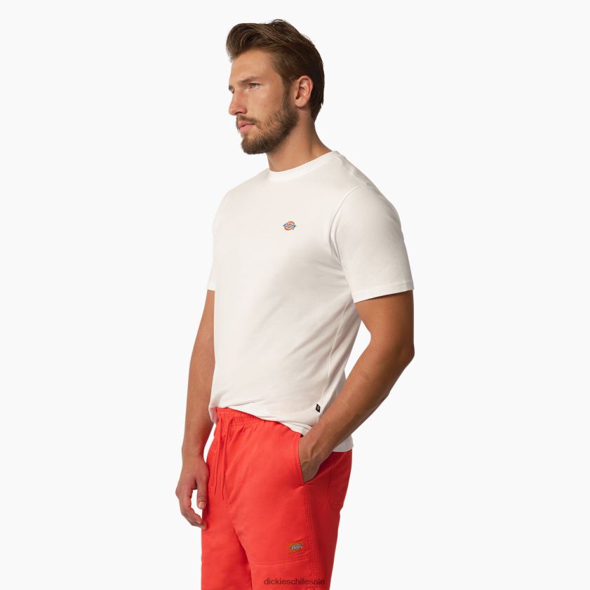 blanco (wh) hombres playera de manga corta arce Dickies vestir X4H0F823