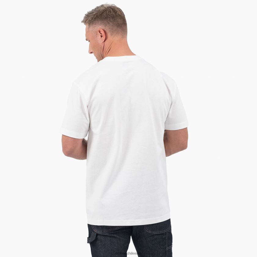 blanco (wh) hombres playera de manga corta con estampado gráfico Dickies vestir X4H0F816
