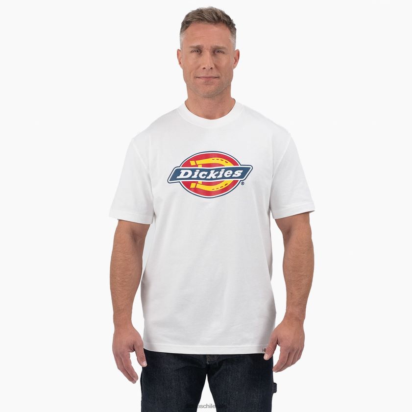 blanco (wh) hombres playera de manga corta con gráfico de logo tricolor Dickies vestir X4H0F714