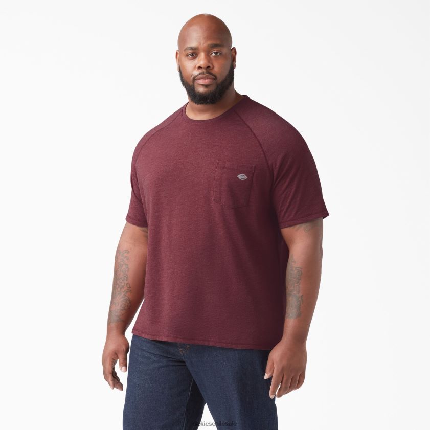 brezo burdeos (byh) hombres camiseta refrescante de manga corta Dickies vestir X4H0F539