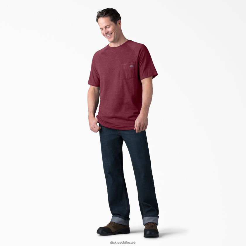 brezo burdeos (byh) hombres camiseta refrescante de manga corta Dickies vestir X4H0F539