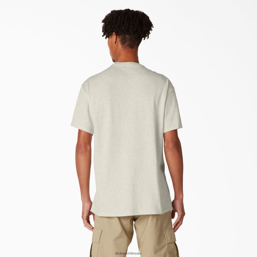 brezo de avena (oa) hombres skateboarding angustiado og camiseta gráfica Dickies vestir X4H0F834