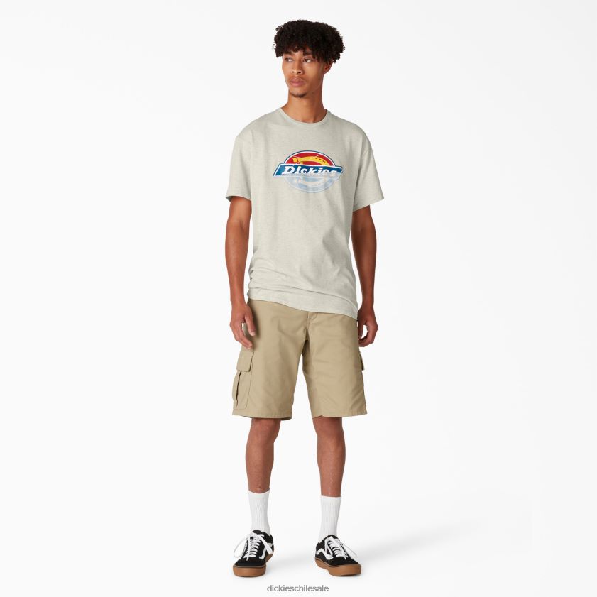 brezo de avena (oa) hombres skateboarding angustiado og camiseta gráfica Dickies vestir X4H0F834