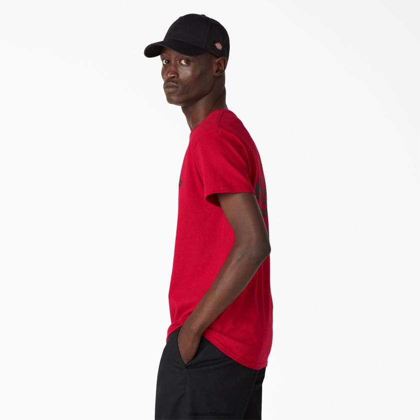 cardenal (ic) hombres herencia camiseta gráfica Dickies vestir X4H0F904