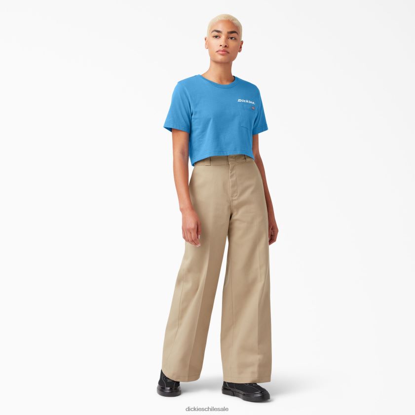 cobalto brillante (b2t) mujer camiseta corta con gráfico Dickies vestir X4H0F2148