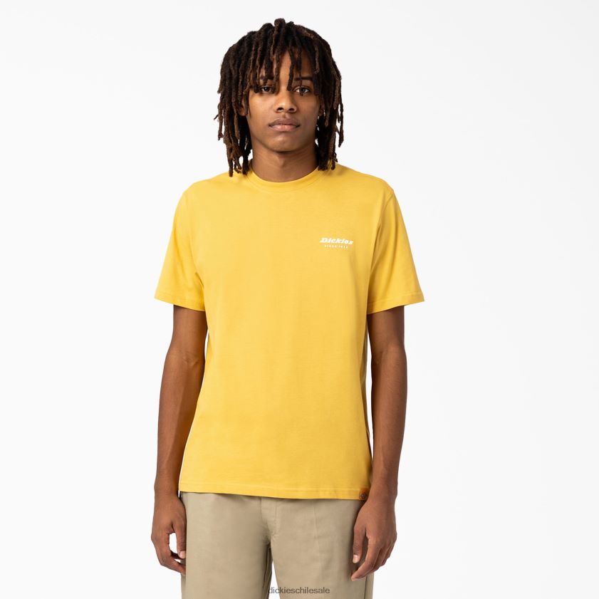 cosechar oro (gv) hombres caja de camden camiseta gráfica Dickies vestir X4H0F887