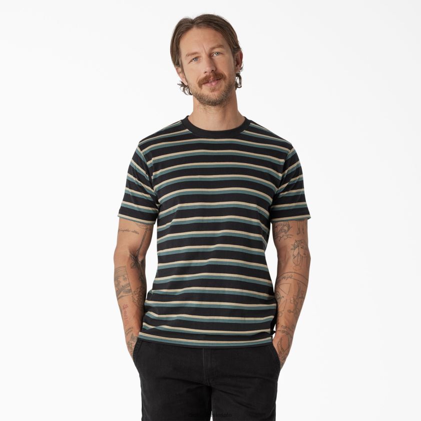 franja negra/verde lincoln (ksg) hombres playera skate a rayas Dickies vestir X4H0F771