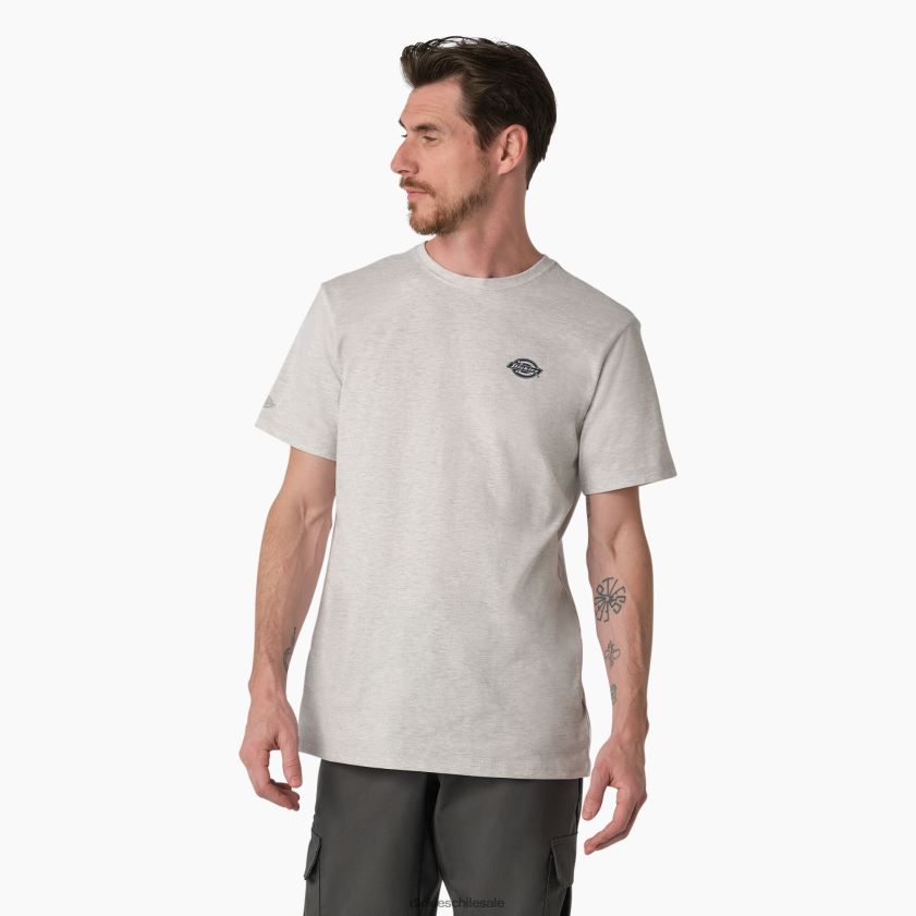 gris ceniza (ag) hombres camiseta gráfica rendimiento de enfriamiento Dickies vestir X4H0F899