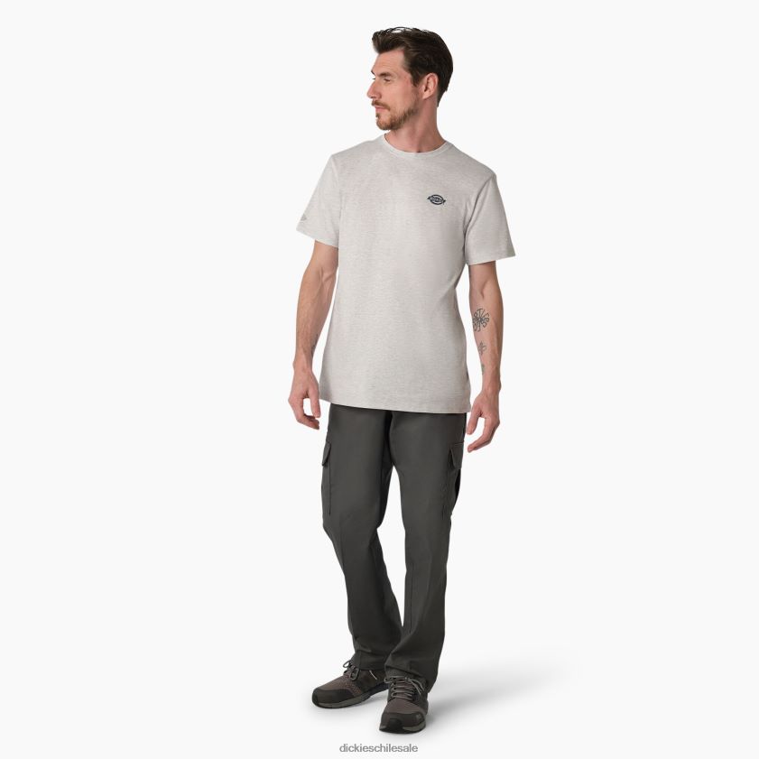 gris ceniza (ag) hombres camiseta gráfica rendimiento de enfriamiento Dickies vestir X4H0F899
