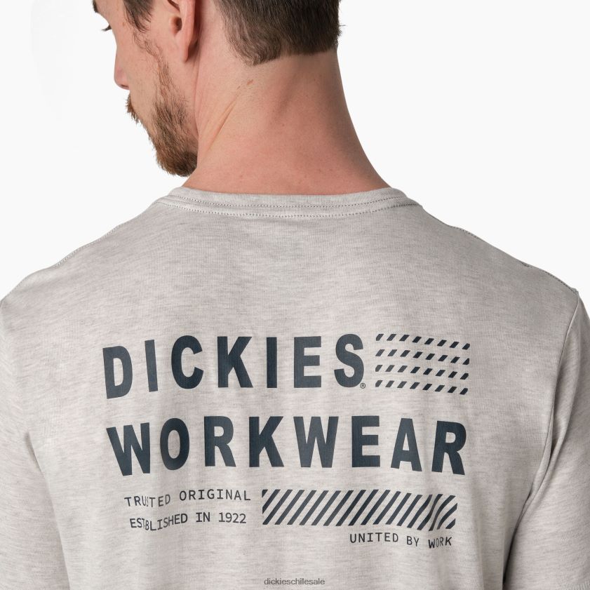 gris ceniza (ag) hombres camiseta gráfica rendimiento de enfriamiento Dickies vestir X4H0F899