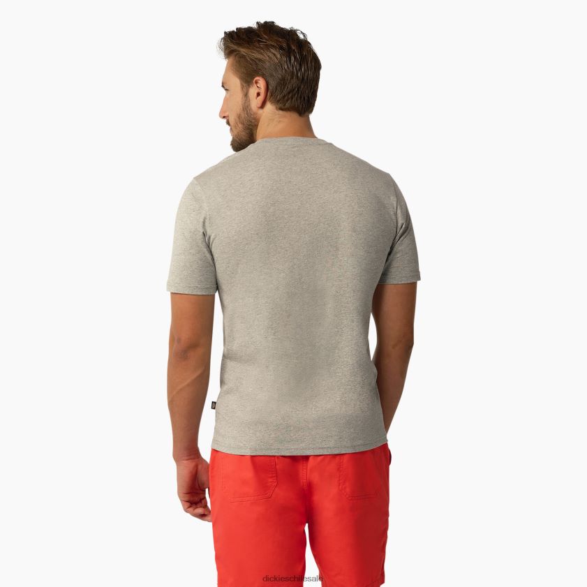 gris jaspeado (hg) hombres playera de manga corta arce Dickies vestir X4H0F819