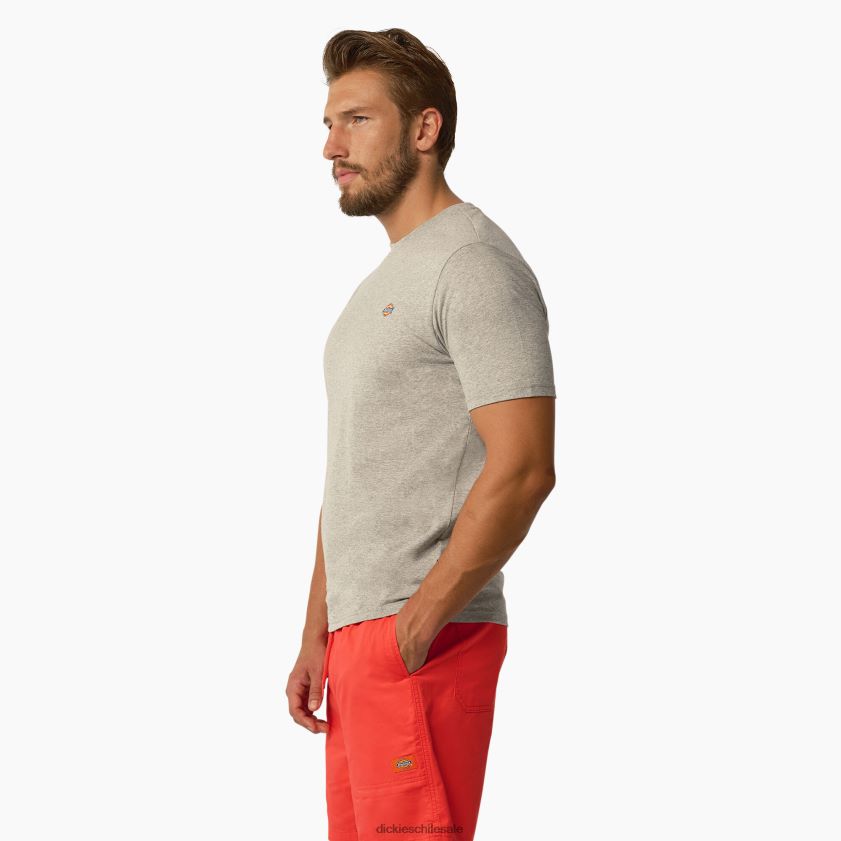 gris jaspeado (hg) hombres playera de manga corta arce Dickies vestir X4H0F819