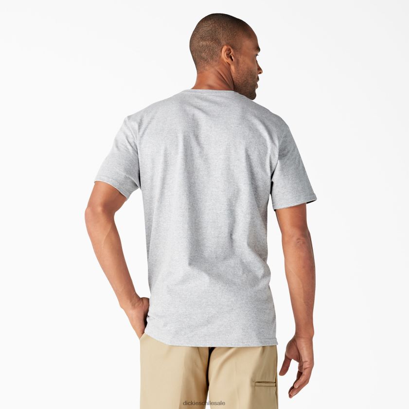 gris jaspeado (hg) hombres playera gráfica de manga corta con ajuste holgado Dickies vestir X4H0F844