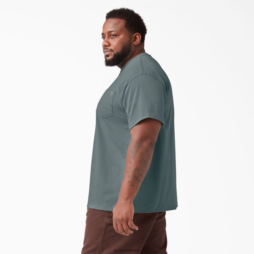 humo azul (bm) hombres camiseta de manga corta de peso pesado Dickies vestir X4H0F507