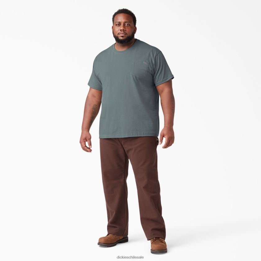 humo azul (bm) hombres camiseta de manga corta de peso pesado Dickies vestir X4H0F507