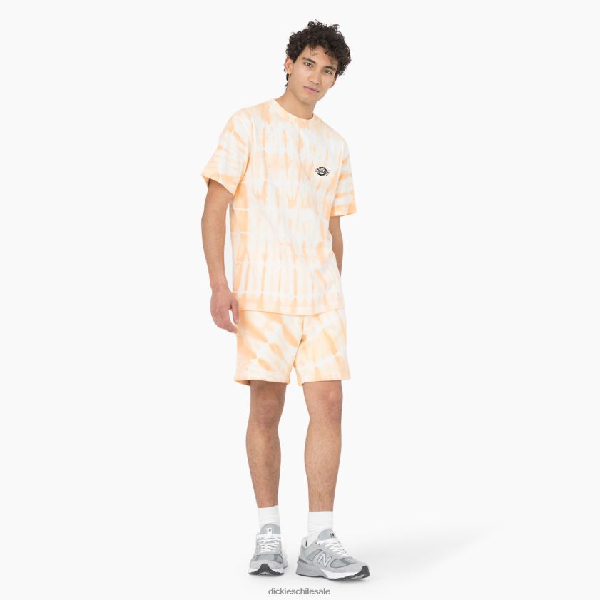 impala (ma2) hombres camiseta de manga corta Westfir Dickies vestir X4H0F589