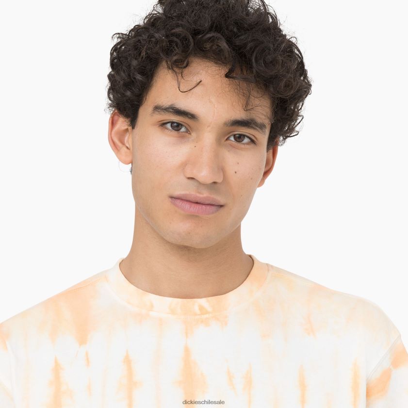 impala (ma2) hombres camiseta de manga corta Westfir Dickies vestir X4H0F589