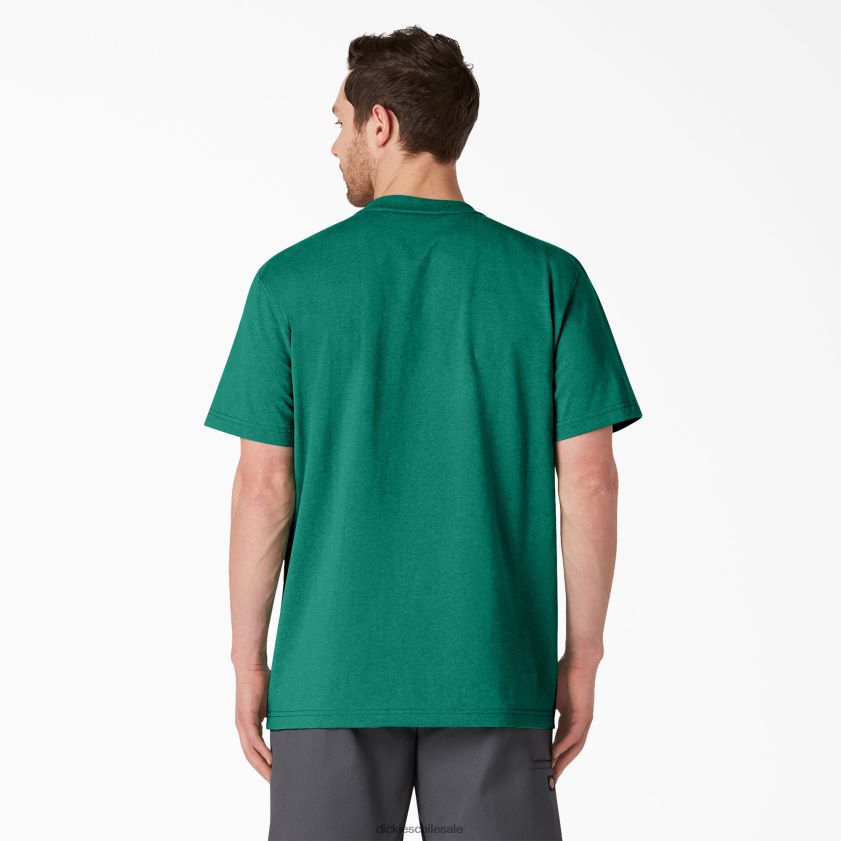 jaspeado verde de un solo tinte (gsh) hombres camiseta de manga corta jaspeada de peso pesado Dickies vestir X4H0F532