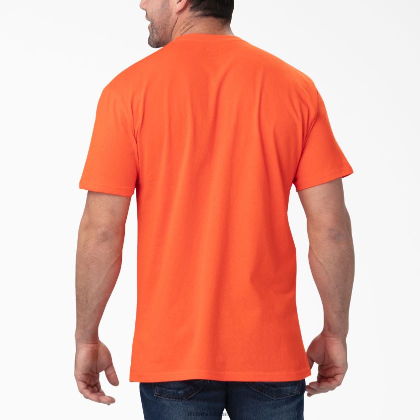 ladrillo naranja (ek) hombres playera gráfica de manga corta con ajuste holgado Dickies vestir X4H0F843