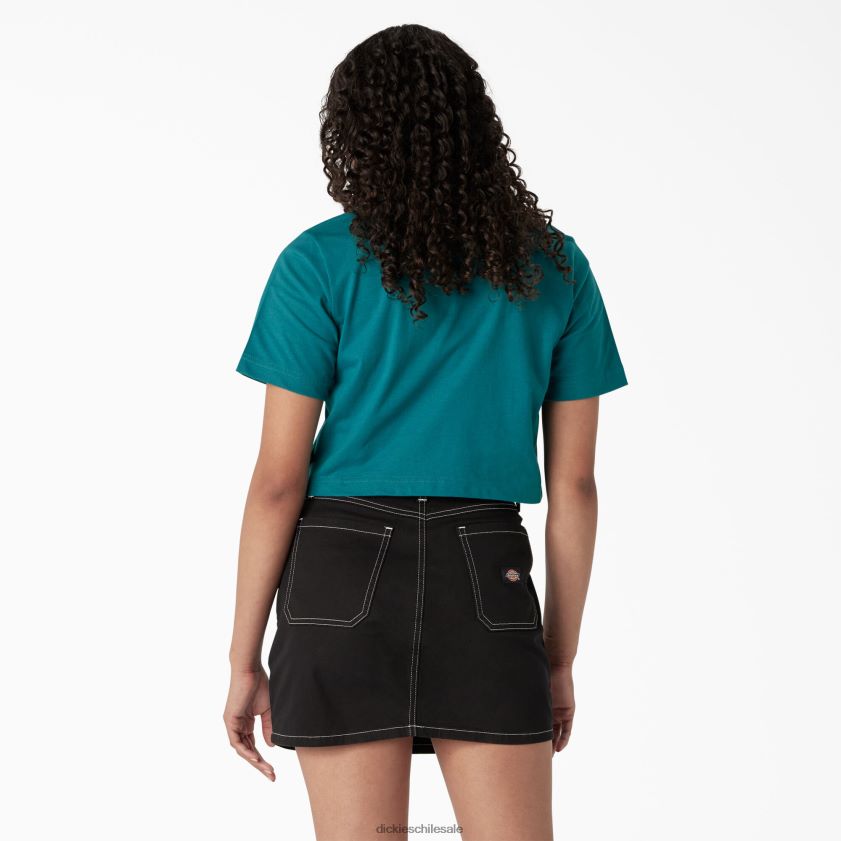 lago profundo (dl2) mujer playera corta con gráfico de cebra Dickies vestir X4H0F2192