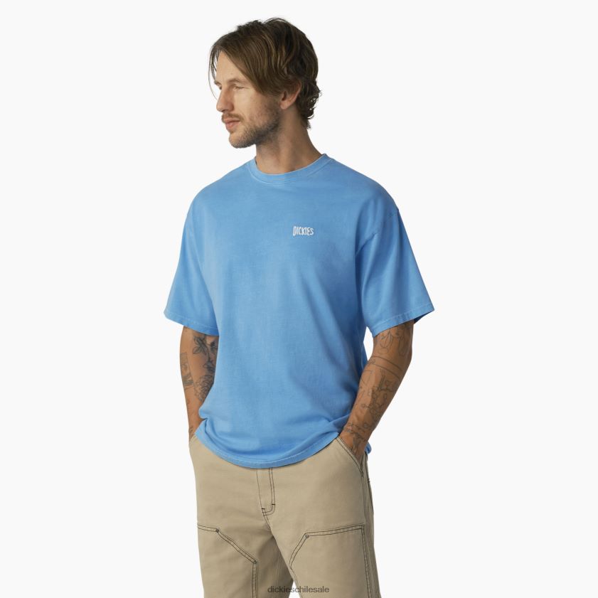 lavado de pigmento azul celeste (awg) hombres playera de manga corta bandón Dickies vestir X4H0F788