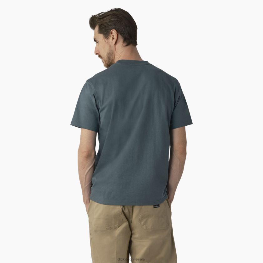lincoln verde (ln) hombres playera de skateboarding regular fit con logo en el pecho Dickies vestir X4H0F861