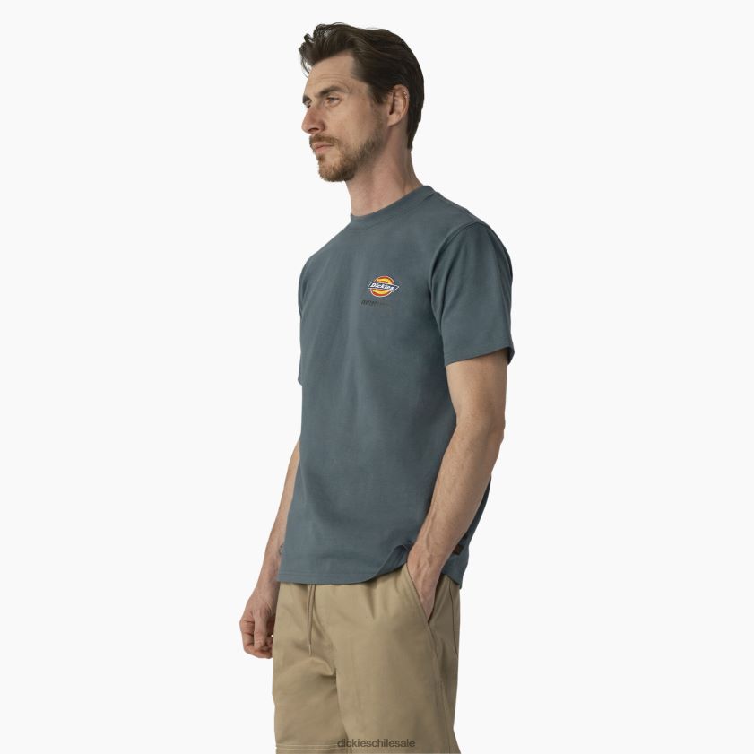 lincoln verde (ln) hombres playera de skateboarding regular fit con logo en el pecho Dickies vestir X4H0F861