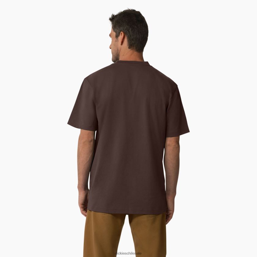 marrón chocolate (cb) hombres playera de manga corta con gráfico de logo tricolor Dickies vestir X4H0F708