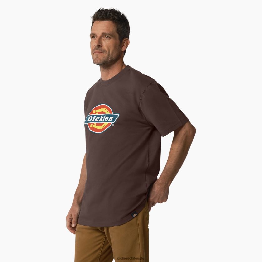 marrón chocolate (cb) hombres playera de manga corta con gráfico de logo tricolor Dickies vestir X4H0F708