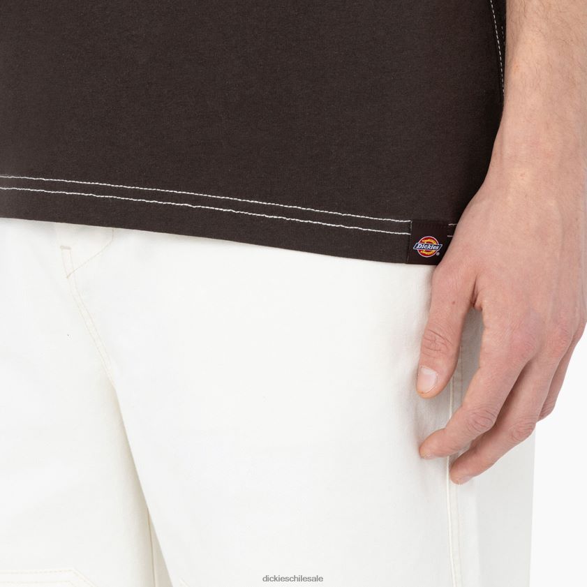 marrón oscuro (db) hombres playera de manga corta beavertown Dickies vestir X4H0F874